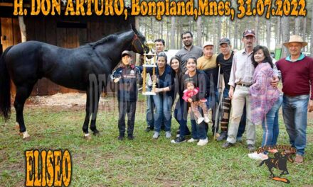 ELISEO – DON ARTURO – 31-7-22