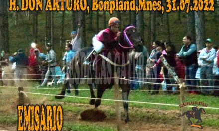 UNA FÁCIL REVANCHA PARA EMISARIO