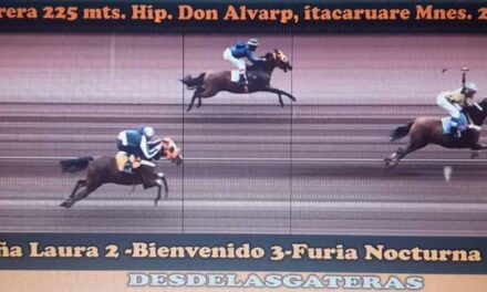 FOTOCHART DON ALVARO – 28-8-22