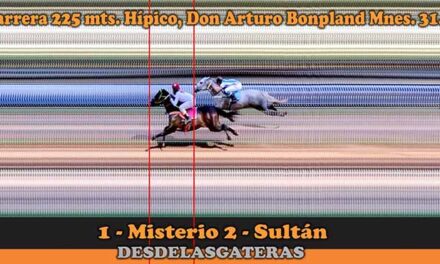FOTOCHARTS DON ARTURO – 31-7-22