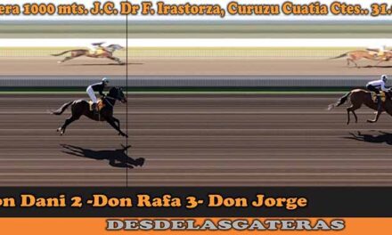 FOTOCHART FERNANDO IRASTORZA – 31-7-22