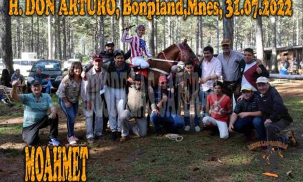 MOHAMED – DON ARTURO – 31-7-22