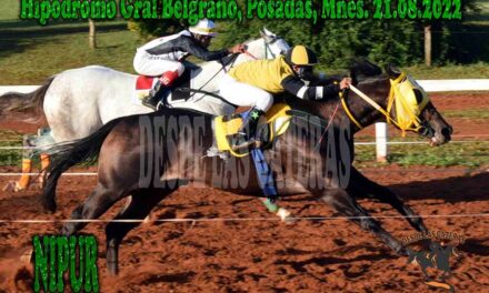 NIPUR…- UN GUERRERO EN SU ESPLENDOR EN EL COLOSO