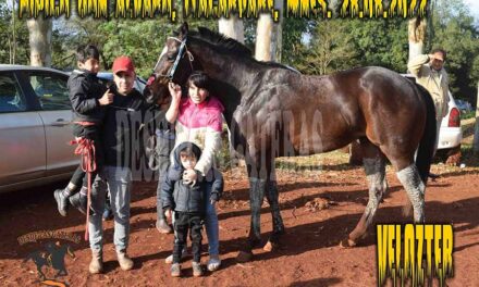 VELOTZER – DON ALVARO – 28-8-22
