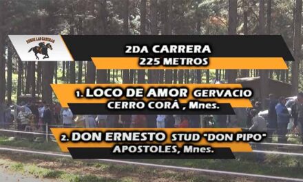 UN LOCO BIEN CUERDO