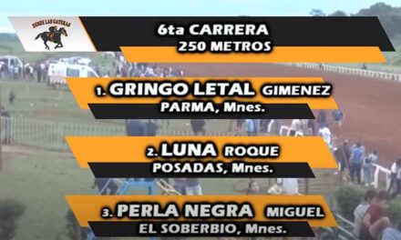 UNA PERLA NEGRA A PURO BRILLO