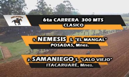 LA PROLIJIDAD DE SAMANIEGO