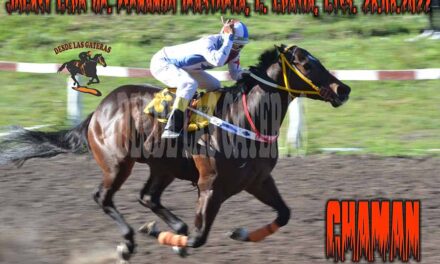 CHAMAN PREDIJO ACERTADAMENTE SU FUTUTO