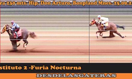 FOTOCHARTS DON ARTURO – 25-9-22
