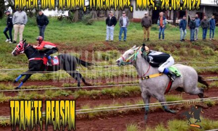 TRAMITE REASON SUPO RESOLVER LA ECUACIÓN…