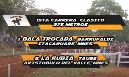 UNA BALA QUE NO QUEDÓ EN LA RECAMARA…