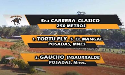 TORTU FLY NO ANDUBO CON VUELTAS