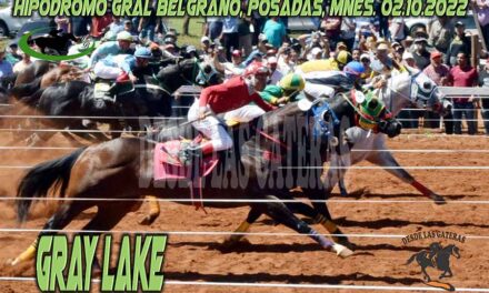 EL CORRECAMINOS GRAY LAKE