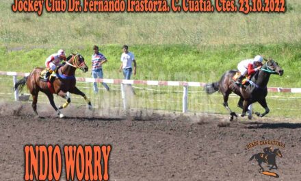 INDIO WORRYS HIZO TODO BIEN.