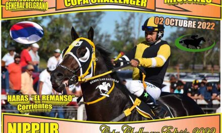 CON USTEDES…EL CAMPEON!!!