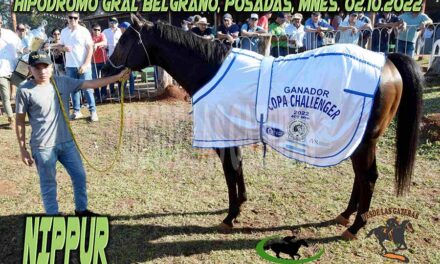 NIPUR – GRAL BELGRANO CHALLENGER – EL GRAN CAMPEON