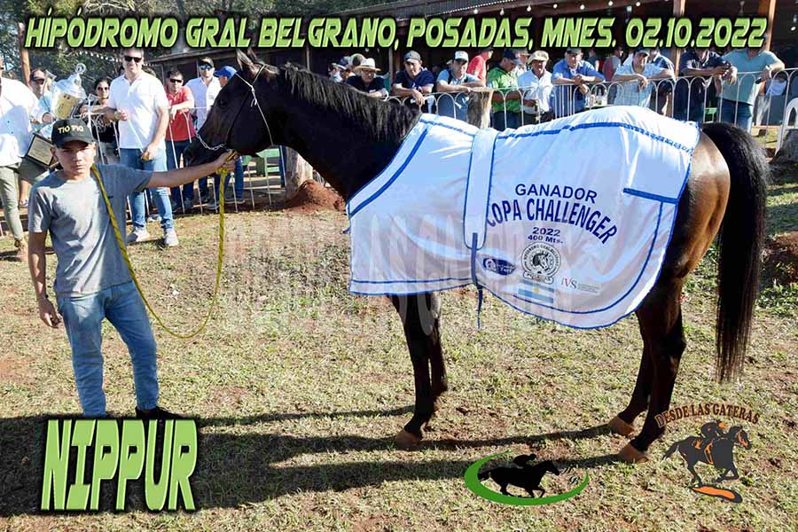 NIPUR – GRAL BELGRANO CHALLENGER – EL GRAN CAMPEON