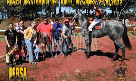 PERSA – H A DEL VALLE – 23-10-22