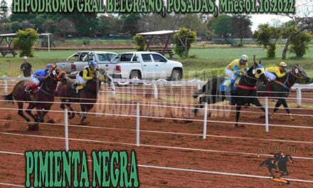 PIMIENTA NEGRA …SOLO ADELANTO DE SU TRIUNFO EN EL BELGRANO