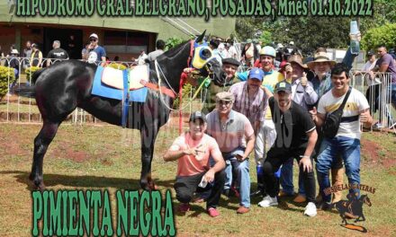 PIMIENTA NEGRA – CHALLENGER GRAL BELGRANO