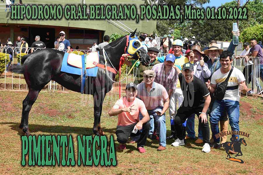 PIMIENTA NEGRA – CHALLENGER GRAL BELGRANO