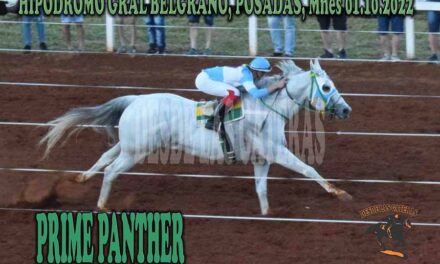 PRIME PANTHER…SOLO UN ADELANTO DE SU TRIUNFO EN EL BELGRANO
