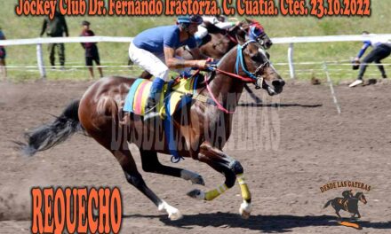 REQUECHO NO FUE NINGÚN DESPERDICIO…