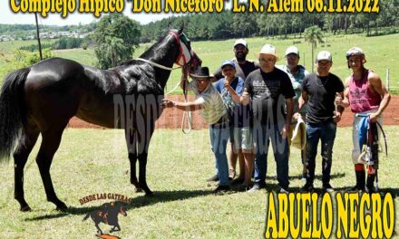 ABUELO NEGRO – DON NICEFORO – 6-11-22
