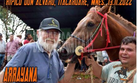 ARRAYANA – DON ALVARO -13-11-22