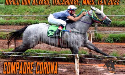 COMPADRE CORONA SE TOMO REVANCHA..