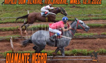 DIAMANTE NEGRO VOLVIÓ A BRILLAR