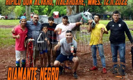 DIAMANTE NEGRO – DON ALVARO -13-11-22