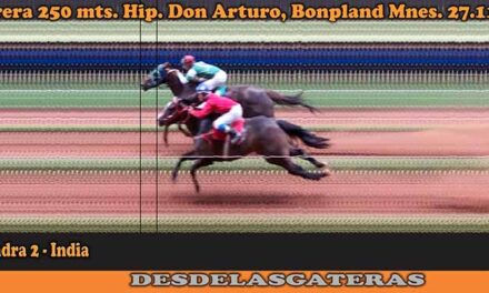 DON ARTURO 27-11-22