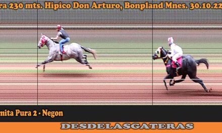 FOTOCHARTS HIPICO DON ARTURO – 30-10-2022
