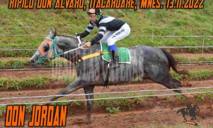 DON JORDÁN LARGÓ Y APLASTÓ….