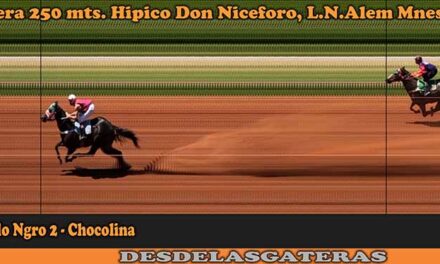 DON NICEFORO FOTOCHART – 6-11-22