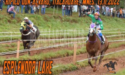 UN ESPLENDO ESPLENDOR LAKE….