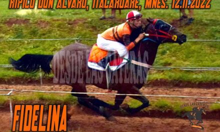 CHAPALEANDO BARRO FIDELINA ARRIBA….