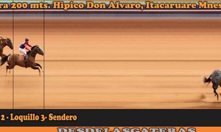 FOTOCHART DON ALVARO – 12-11-22
