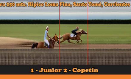 FOTOCHART LOMA FINA 30-10-22
