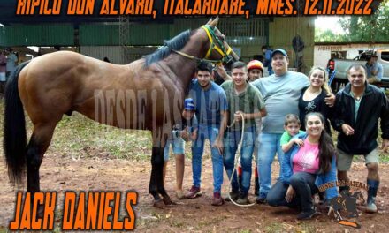 JACK DANIELS – DON ALVARO -13-11-22