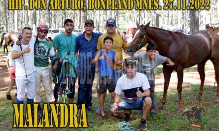 MALANDRA – DON ARTURO – 27-11-22