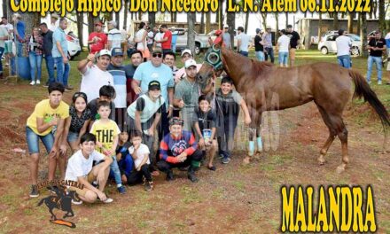 MALANDRA – DON NICEFORO – 6-11-22