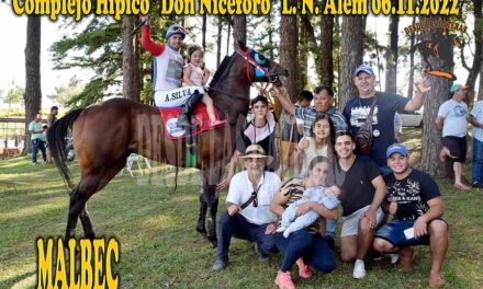 MALBEC – DON NICEFORO – 6-11-22