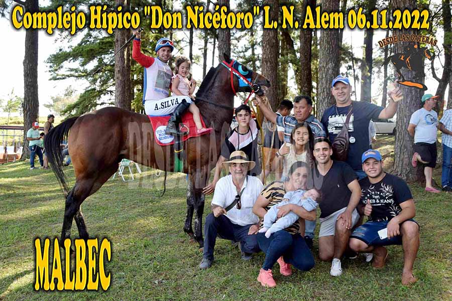 MALBEC – DON NICEFORO – 6-11-22