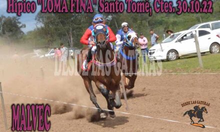 EL BUEN SABOR DE UN MALVEC…