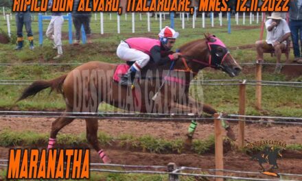 MARANATHA Y UNA GRATA IMPRESION….