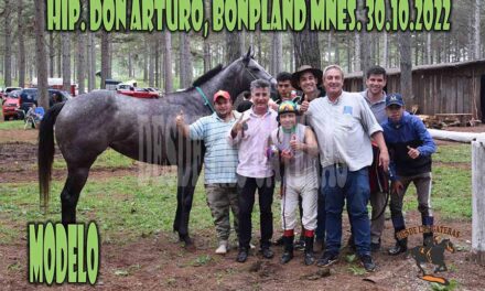 MODELO – DON ARTURO – 30-10-22