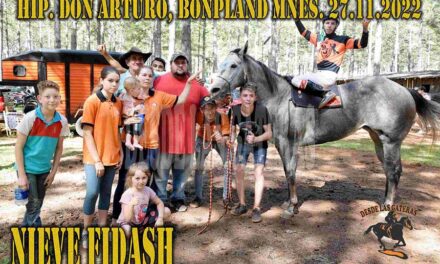 NIEVE FIDASH – DON ARTURO – 27-11-22