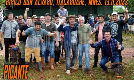 PICANTE – DON ALVARO -13-11-22